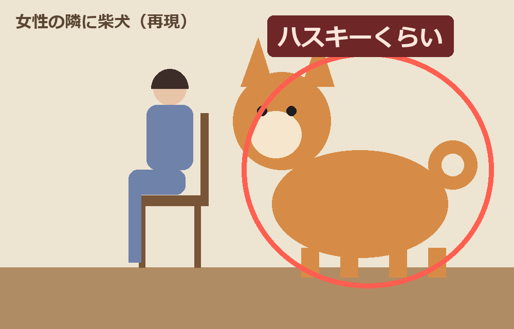 女性の隣に、女性と同じくらい大きな柴犬。模式図（再現）